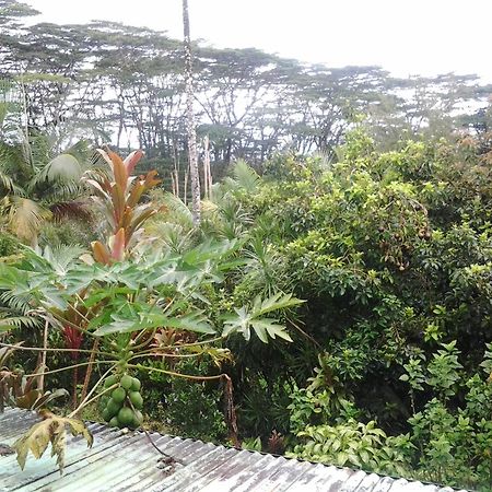 Lava Tree Tropic Inn Pahoa Dış mekan fotoğraf