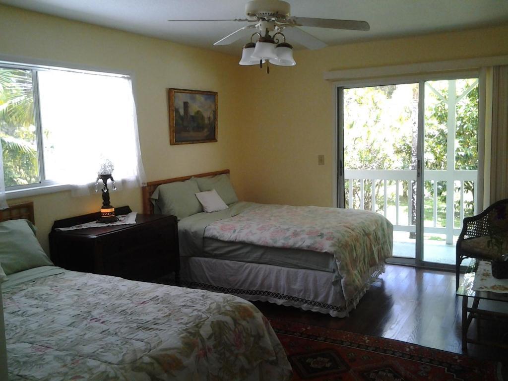 Lava Tree Tropic Inn Pahoa Oda fotoğraf