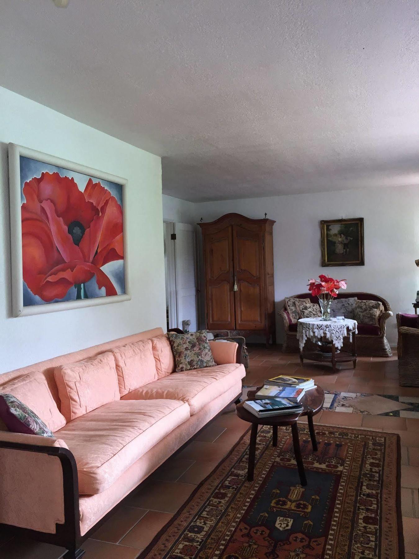 Lava Tree Tropic Inn Pahoa Dış mekan fotoğraf